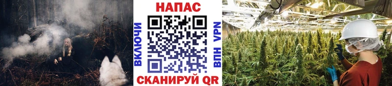Бошки марихуана MAZAR наркошоп Лакинск